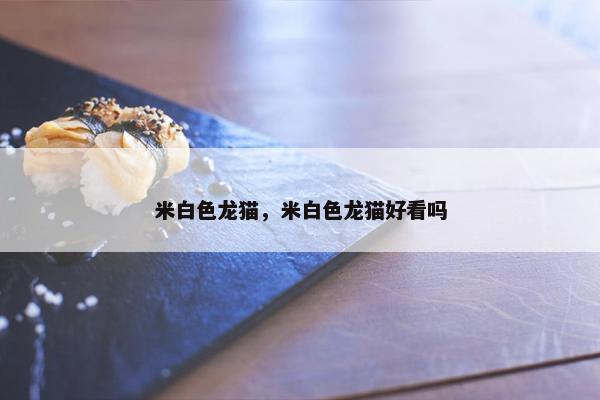 米白色龙猫，米白色龙猫好看吗