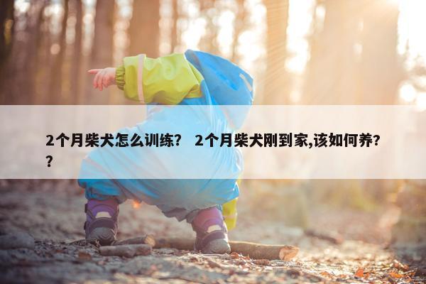 2个月柴犬怎么训练？ 2个月柴犬刚到家,该如何养?？