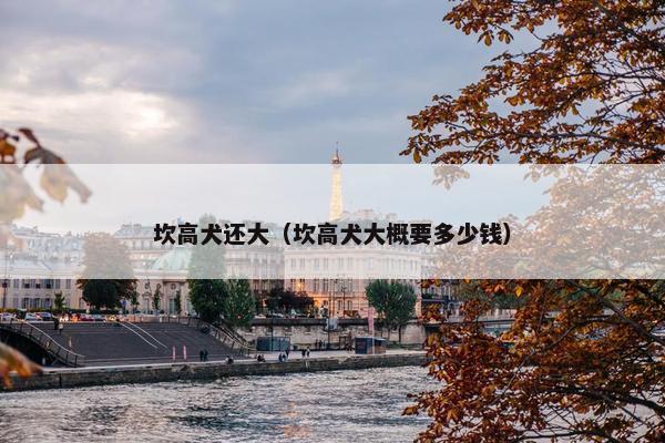 坎高犬还大（坎高犬大概要多少钱）