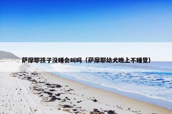 萨摩耶孩子没睡会叫吗（萨摩耶幼犬晚上不睡觉）
