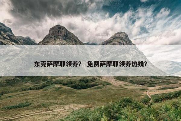东莞萨摩耶领养？ 免费萨摩耶领养热线？
