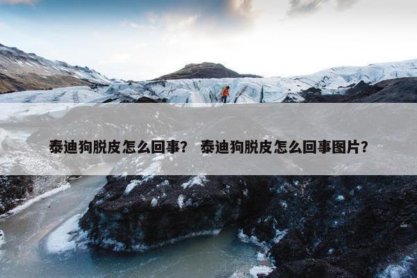 泰迪狗脱皮怎么回事？ 泰迪狗脱皮怎么回事图片？