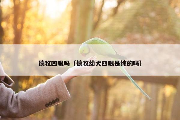 德牧四眼吗（德牧幼犬四眼是纯的吗）