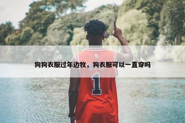 狗狗衣服过年边牧，狗衣服可以一直穿吗