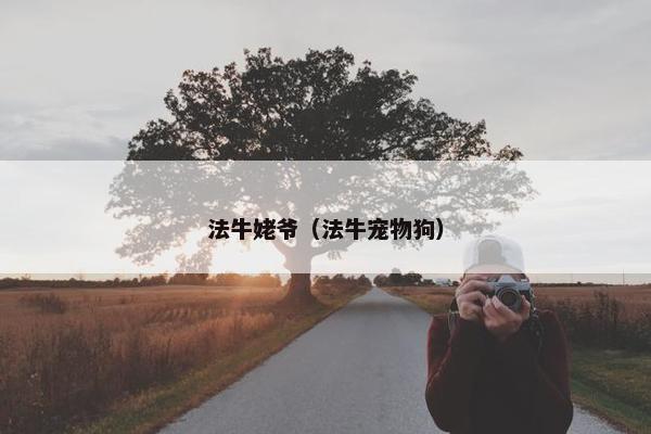 法牛姥爷（法牛宠物狗）