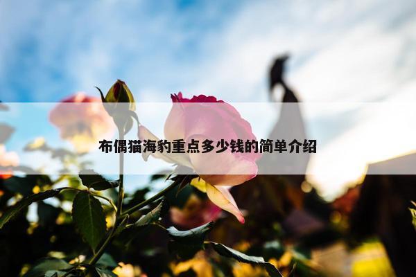 布偶猫海豹重点多少钱的简单介绍