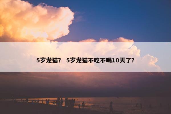 5岁龙猫？ 5岁龙猫不吃不喝10天了？