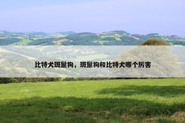 比特犬斑鬣狗，斑鬣狗和比特犬哪个厉害