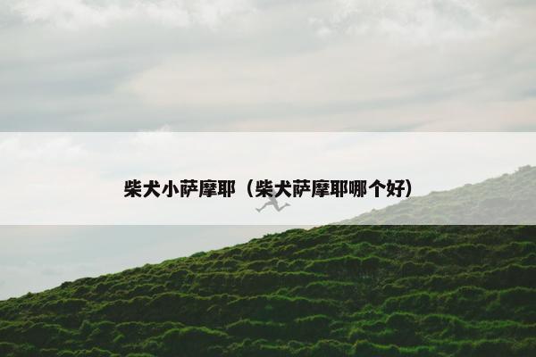 柴犬小萨摩耶（柴犬萨摩耶哪个好）