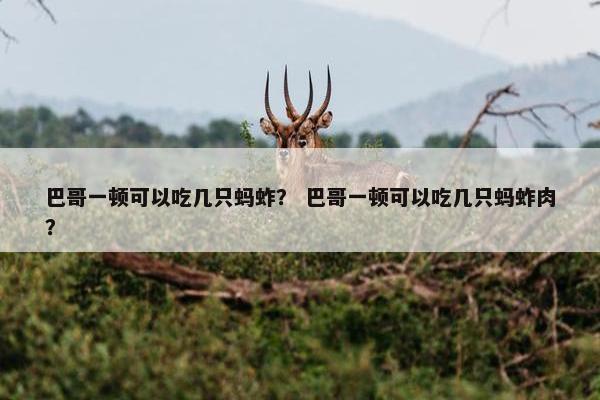 巴哥一顿可以吃几只蚂蚱？ 巴哥一顿可以吃几只蚂蚱肉？