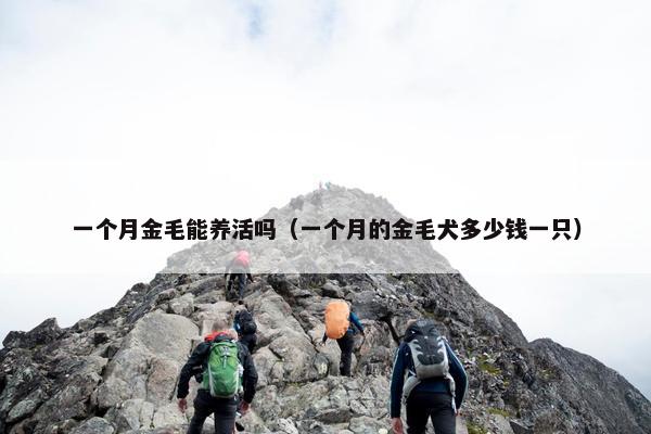 一个月金毛能养活吗（一个月的金毛犬多少钱一只）