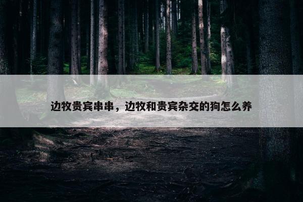 边牧贵宾串串，边牧和贵宾杂交的狗怎么养