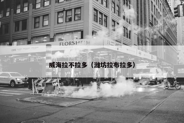 威海拉不拉多（潍坊拉布拉多）