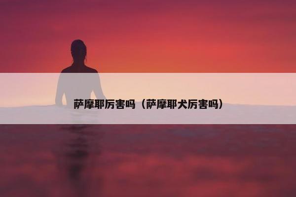 萨摩耶厉害吗（萨摩耶犬厉害吗）