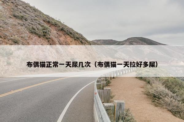 布偶猫正常一天尿几次（布偶猫一天拉好多屎）
