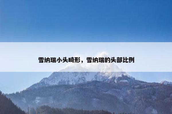 雪纳瑞小头畸形，雪纳瑞的头部比例