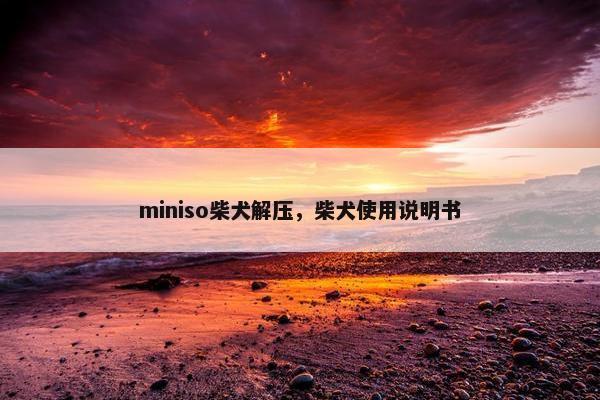 miniso柴犬解压，柴犬使用说明书