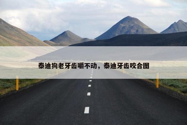 泰迪狗老牙齿嚼不动，泰迪牙齿咬合图