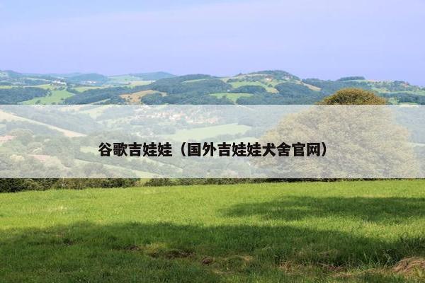 谷歌吉娃娃（国外吉娃娃犬舍官网）