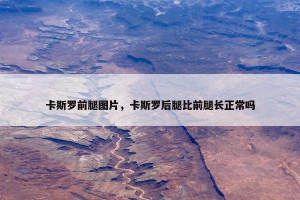 卡斯罗前腿图片，卡斯罗后腿比前腿长正常吗