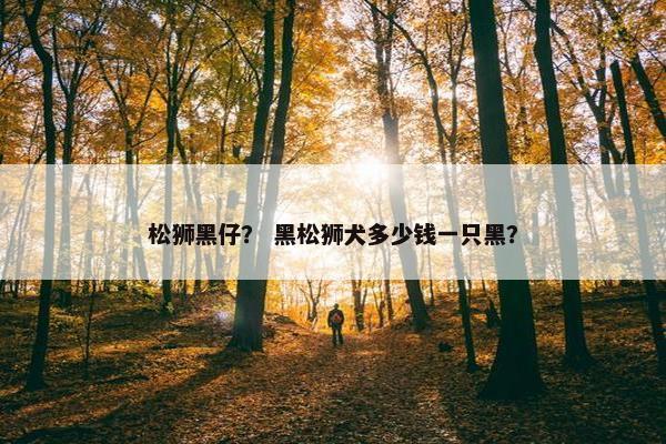 松狮黑仔？ 黑松狮犬多少钱一只黑？