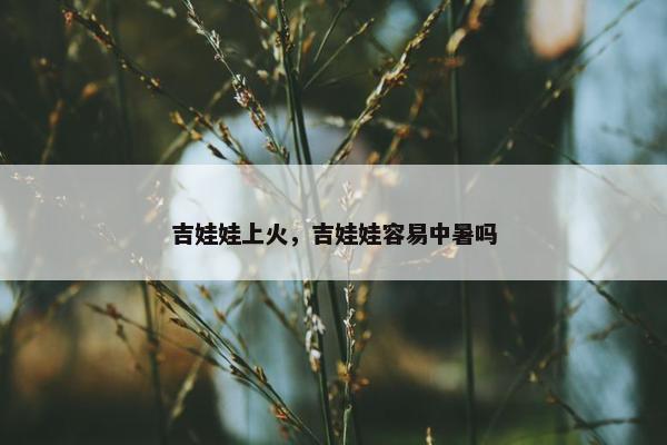 吉娃娃上火，吉娃娃容易中暑吗
