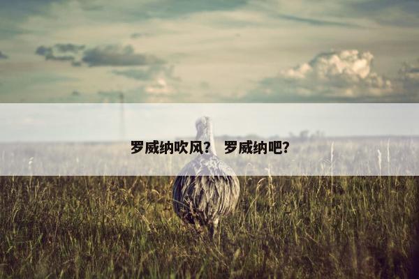 罗威纳吹风？ 罗威纳吧？