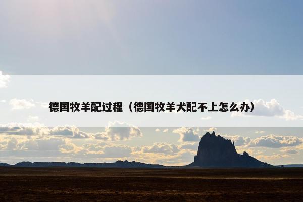 德国牧羊配过程（德国牧羊犬配不上怎么办）