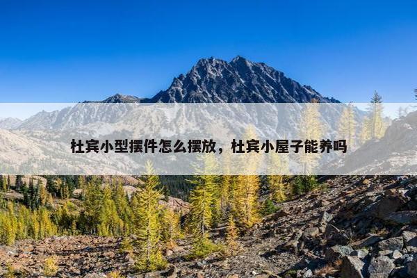 杜宾小型摆件怎么摆放，杜宾小屋子能养吗