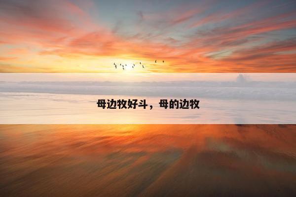 母边牧好斗，母的边牧