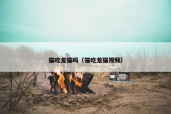 猫吃龙猫吗（猫吃龙猫视频）