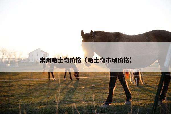 常州哈士奇价格（哈士奇市场价格）