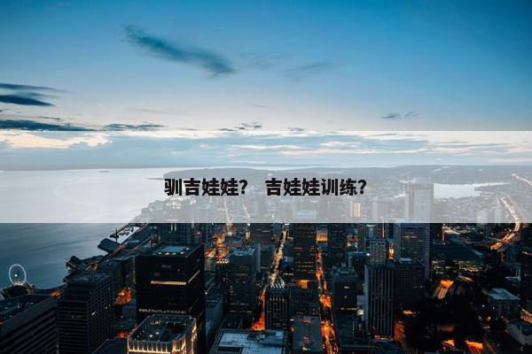 驯吉娃娃？ 吉娃娃训练？