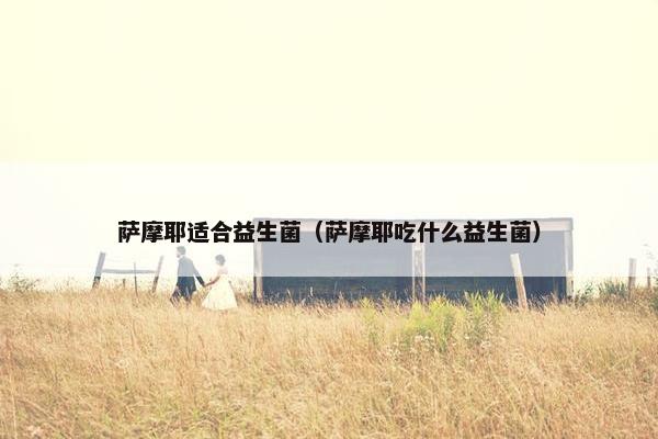 萨摩耶适合益生菌（萨摩耶吃什么益生菌）