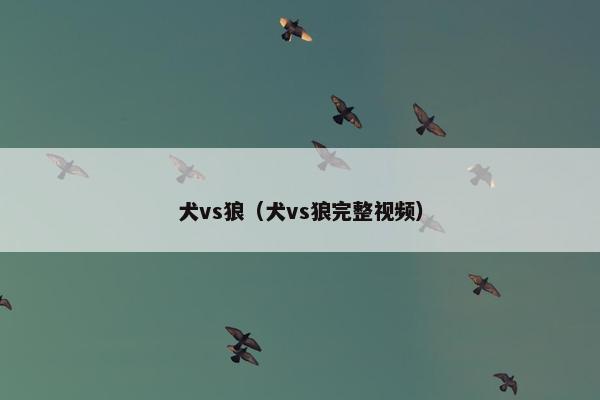 犬vs狼（犬vs狼完整视频）