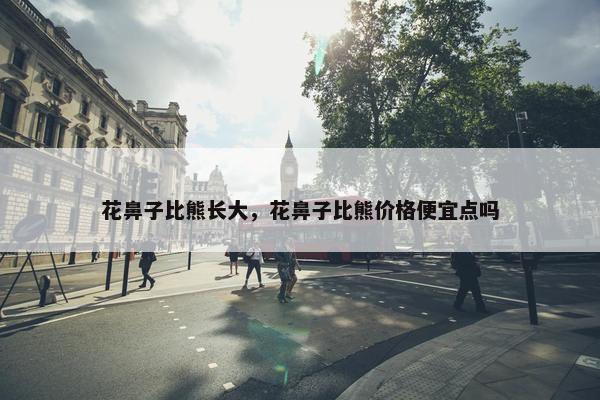 花鼻子比熊长大，花鼻子比熊价格便宜点吗