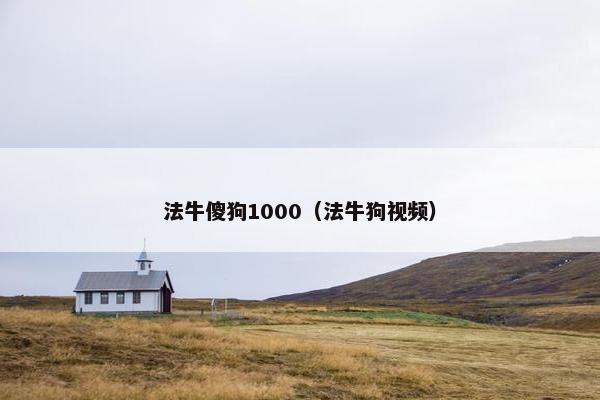 法牛傻狗1000（法牛狗视频）