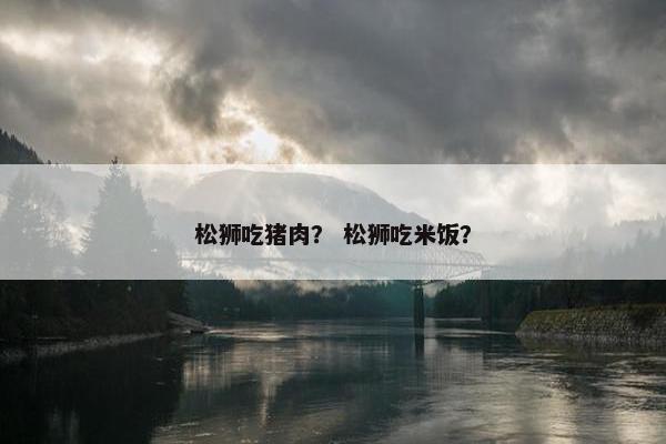 松狮吃猪肉？ 松狮吃米饭？