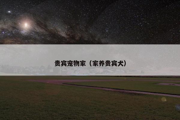 贵宾宠物家（家养贵宾犬）