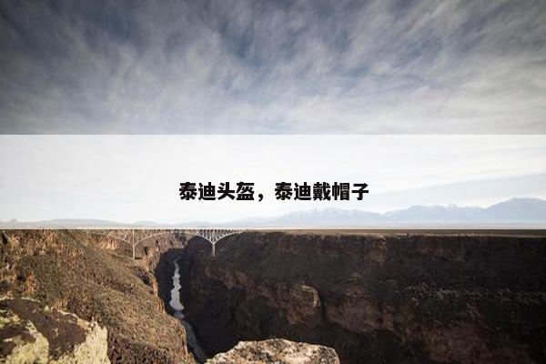 泰迪头盔，泰迪戴帽子