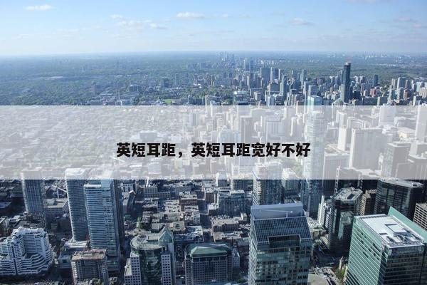 英短耳距，英短耳距宽好不好
