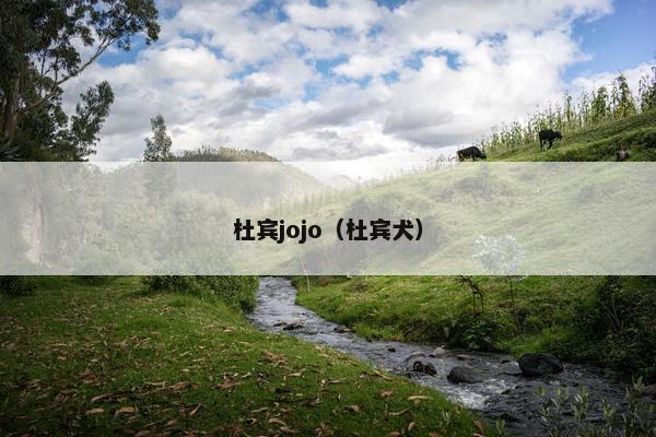 杜宾jojo（杜宾犬）