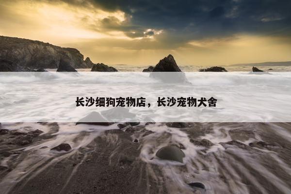 长沙细狗宠物店，长沙宠物犬舍