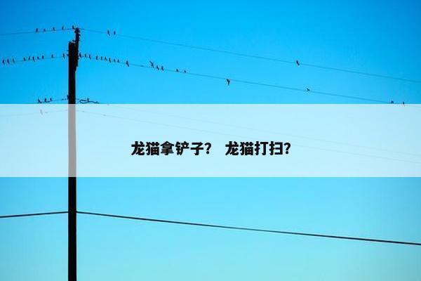 龙猫拿铲子？ 龙猫打扫？