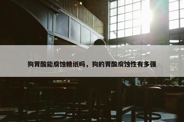 狗胃酸能腐蚀糖纸吗，狗的胃酸腐蚀性有多强