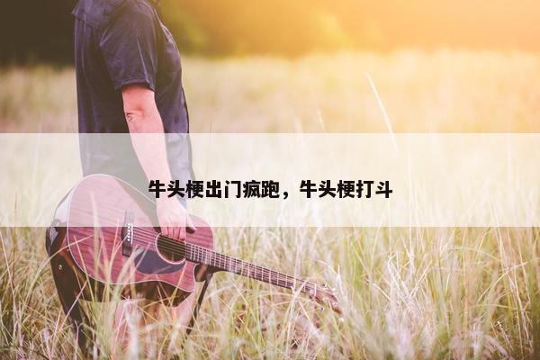 牛头梗出门疯跑，牛头梗打斗