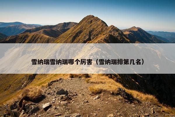 雪纳瑞雪纳瑞哪个厉害（雪纳瑞排第几名）