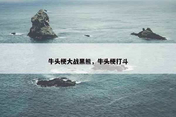 牛头梗大战黑熊，牛头梗打斗