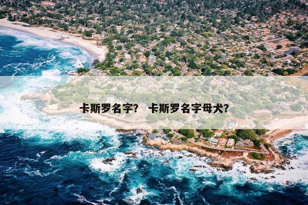 卡斯罗名字？ 卡斯罗名字母犬？