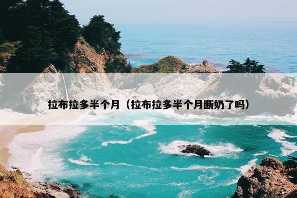 拉布拉多半个月（拉布拉多半个月断奶了吗）